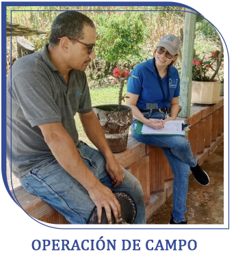 Fase de Operación
